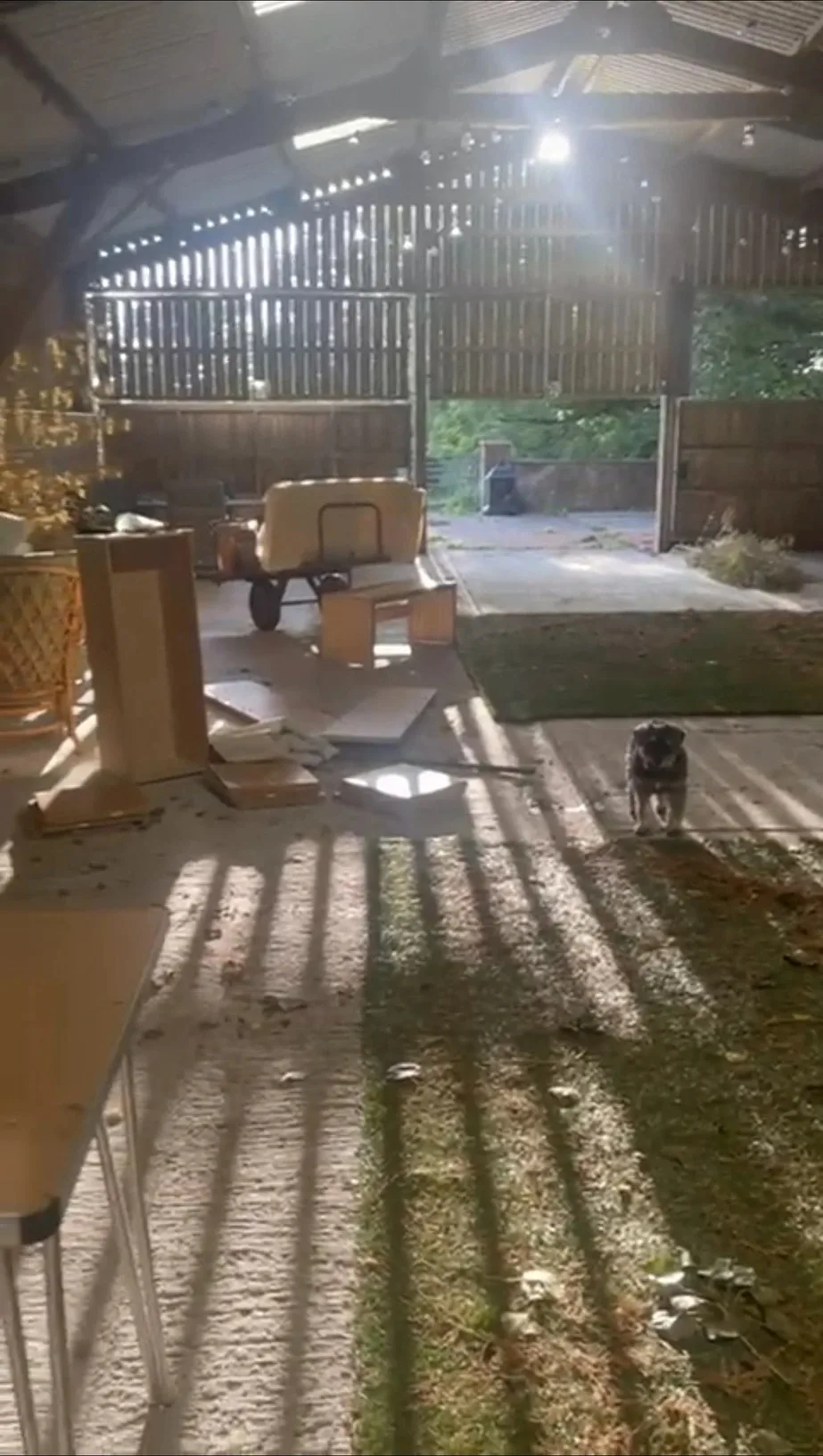 Inside the barn, sunlight through the slats