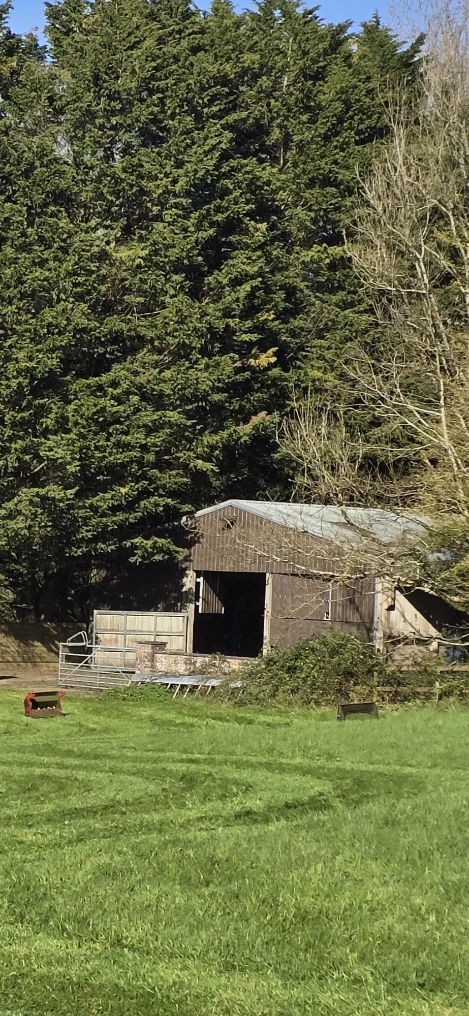 The Barn