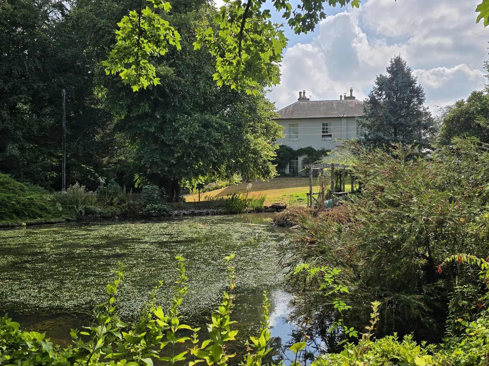 The lake and jetty framed by leaves — wedding photographs at The Grove