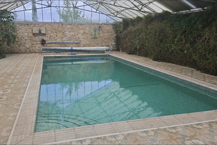 Swim