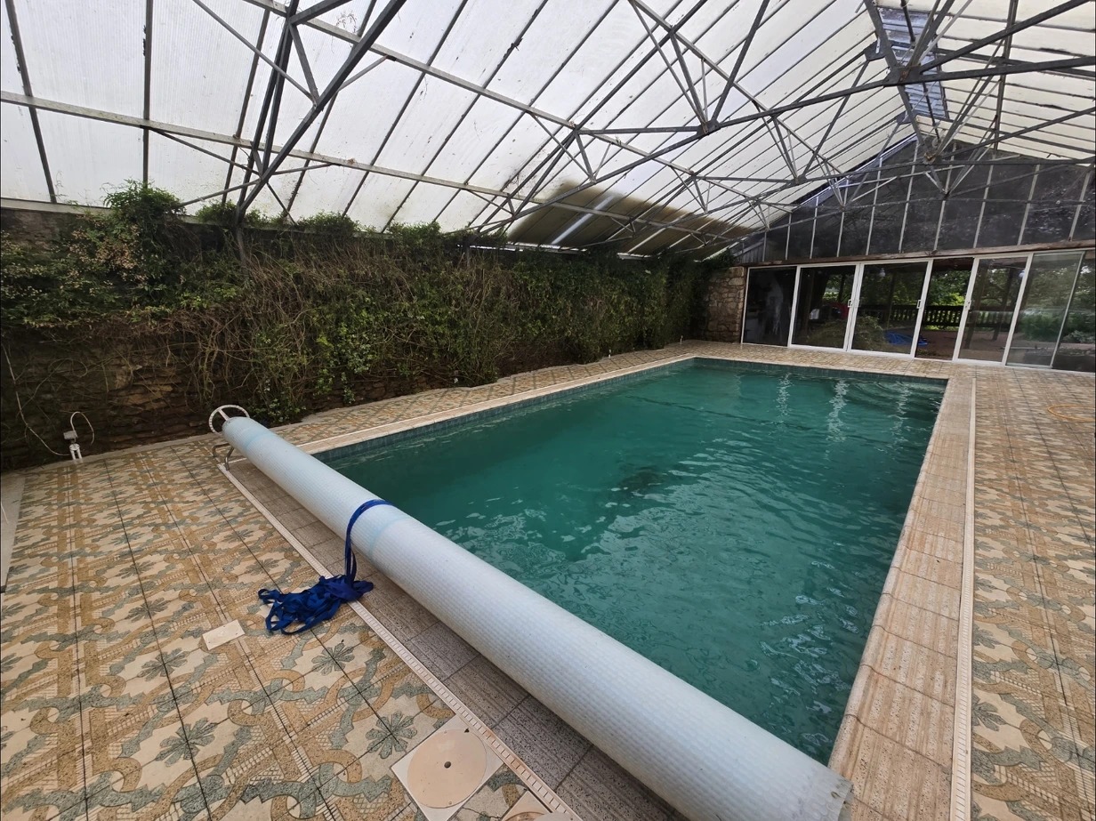 Private Swim Session